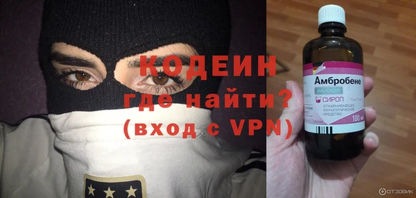 гашик Алексин