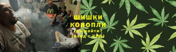 спайс Алзамай