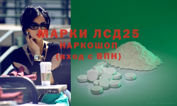 гашик Алексин