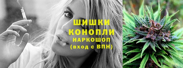 спайс Алзамай