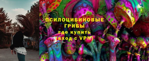 спайс Алзамай