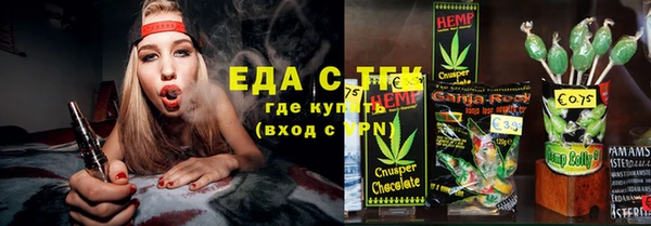 гашик Алексин