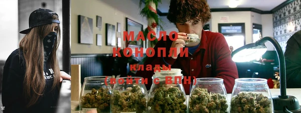 гашик Алексин