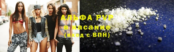 гашик Алексин