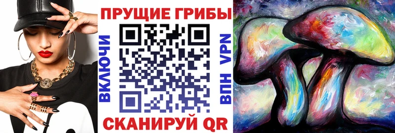 Псилоцибиновые грибы Psilocybine cubensis  что такое   Узловая 